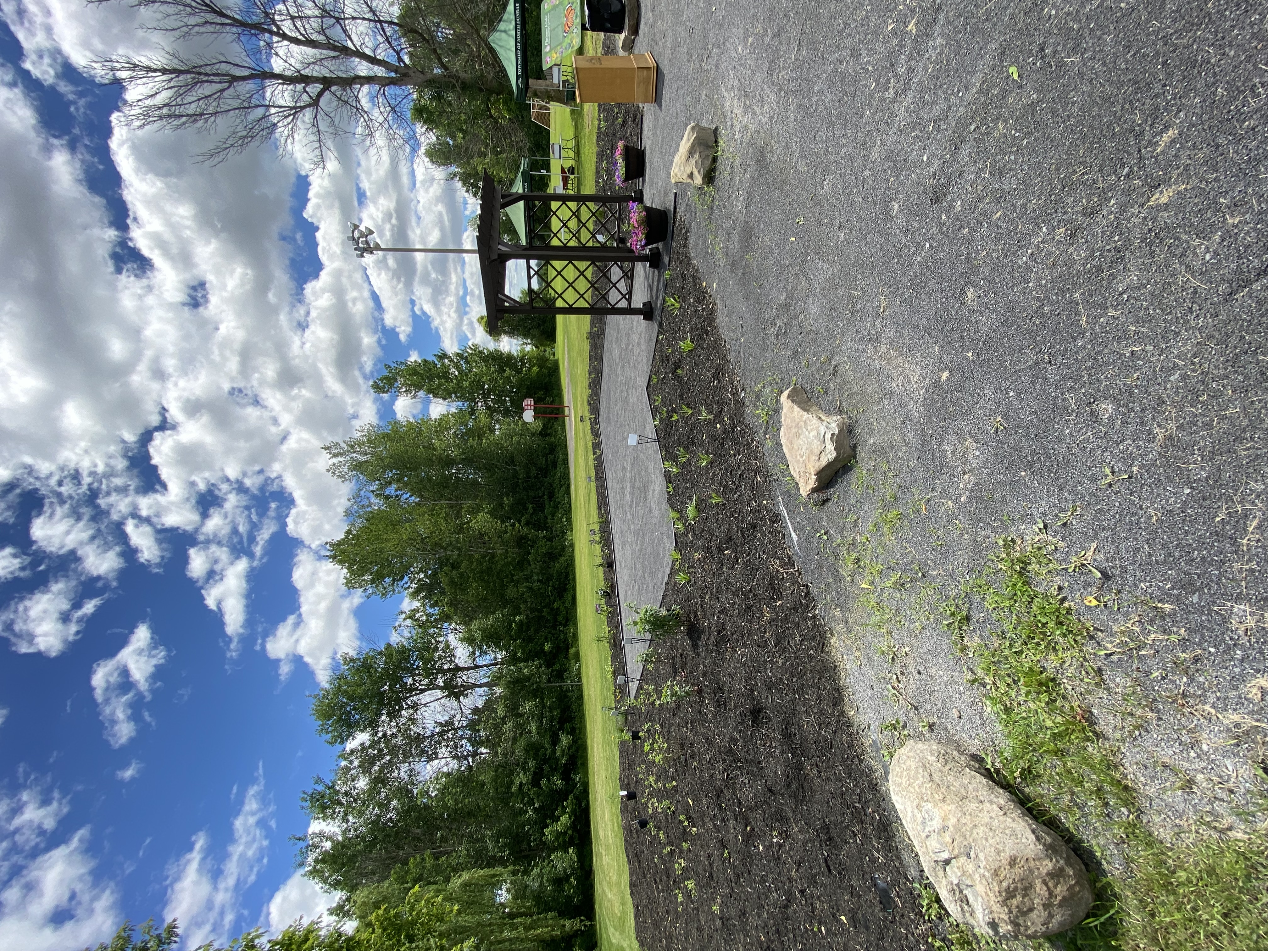 View of garden