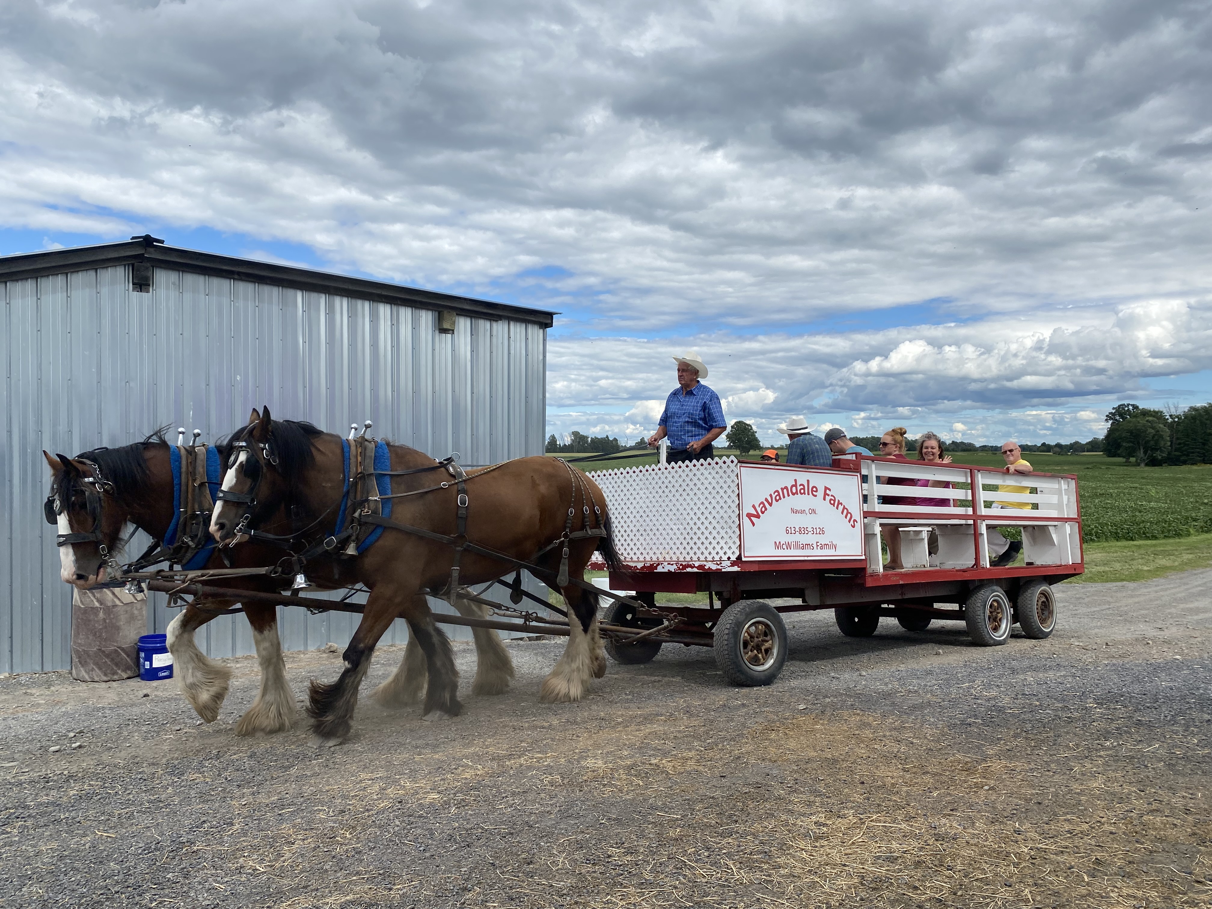 horse drawn wagon