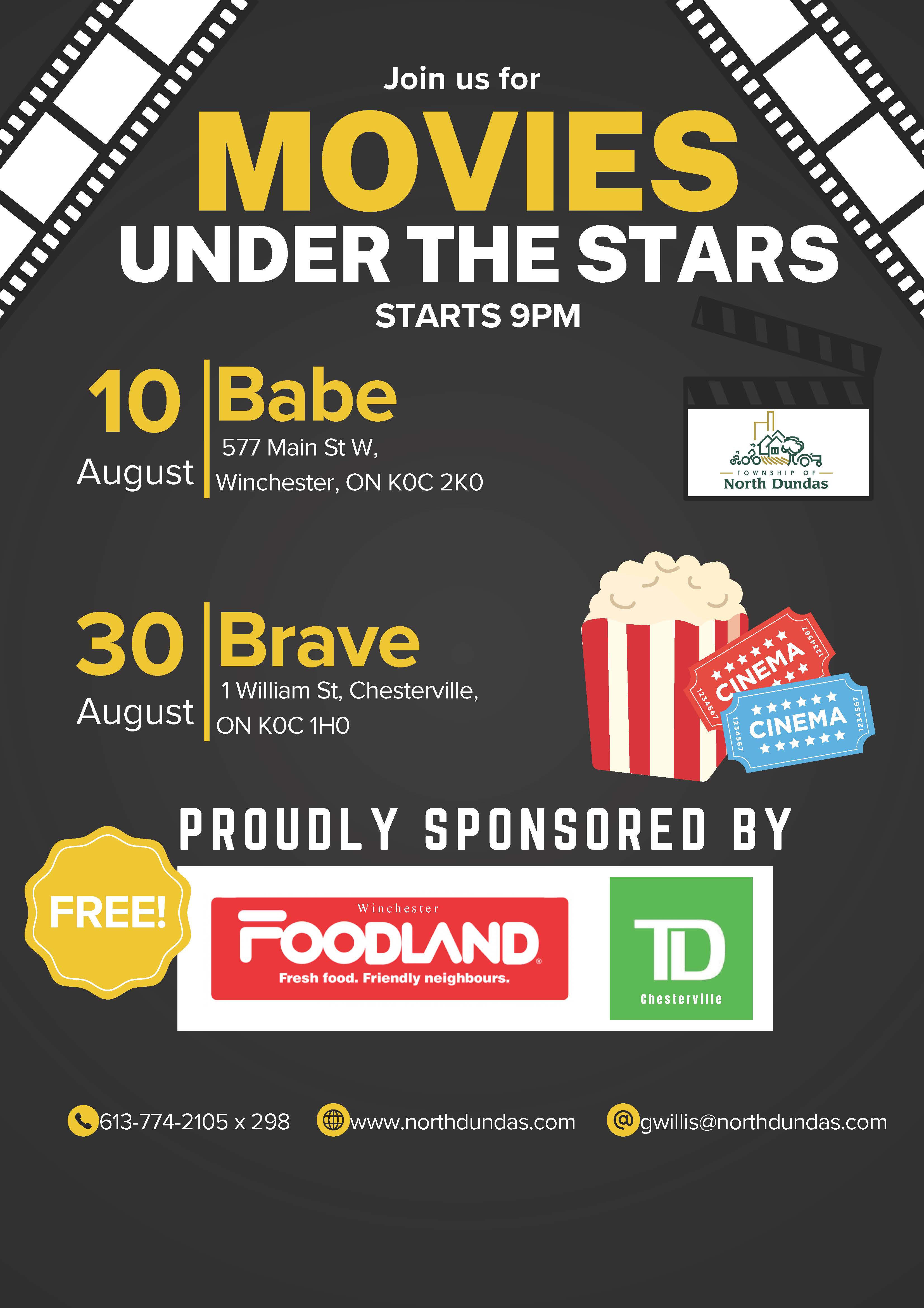 Movies Under the Stars Poster