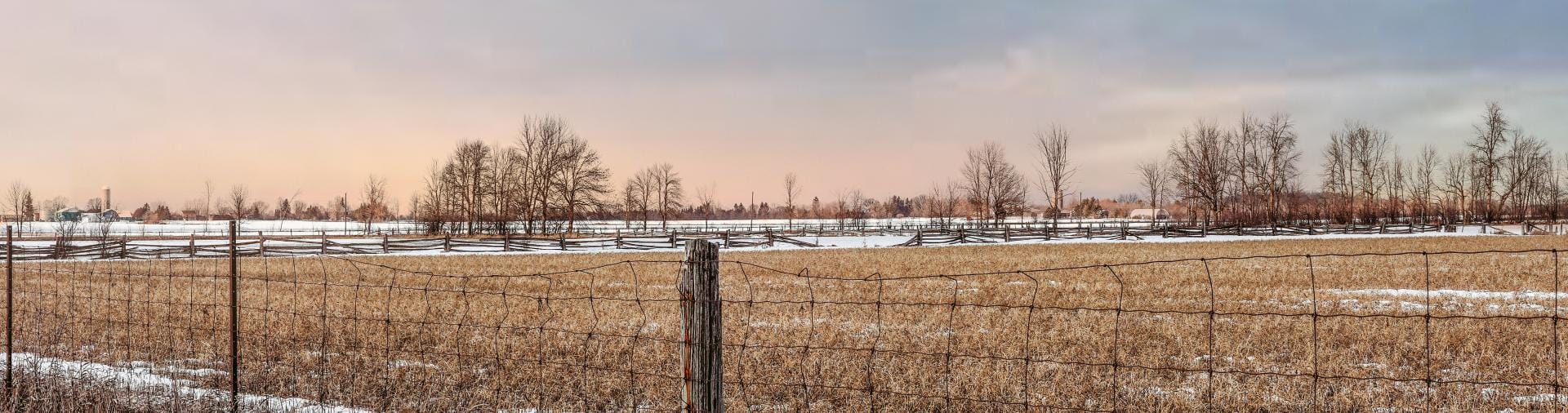 North Dundas Field