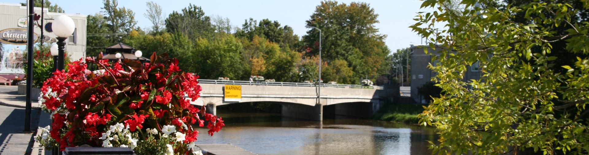 Chesterville Locks and red flowers