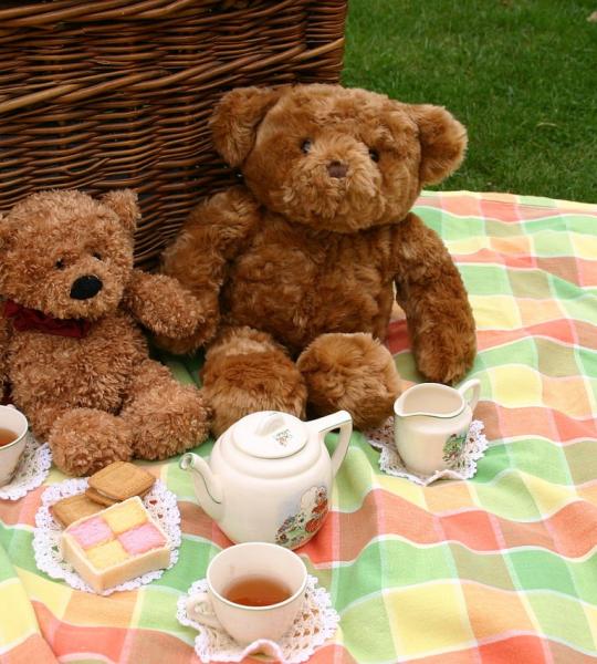 picnic