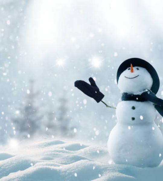 marionville winter carnival