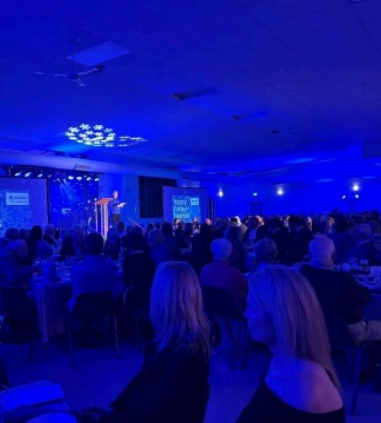 wdmh saphire and snowflakes pic