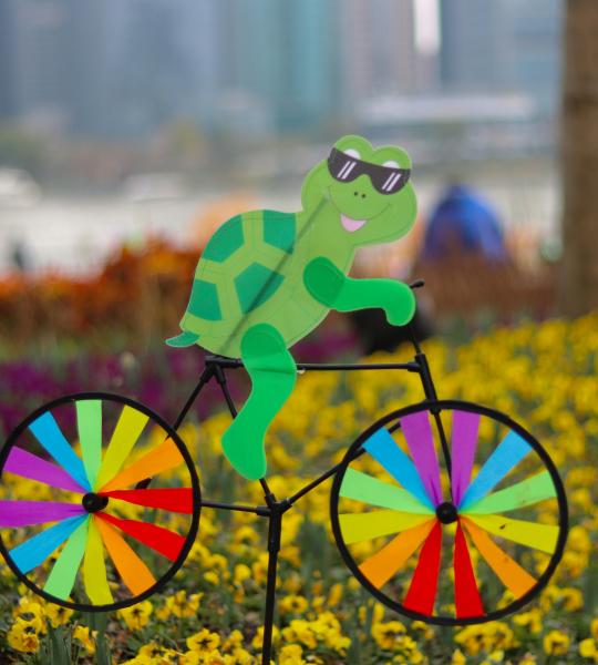 green cycle turtle