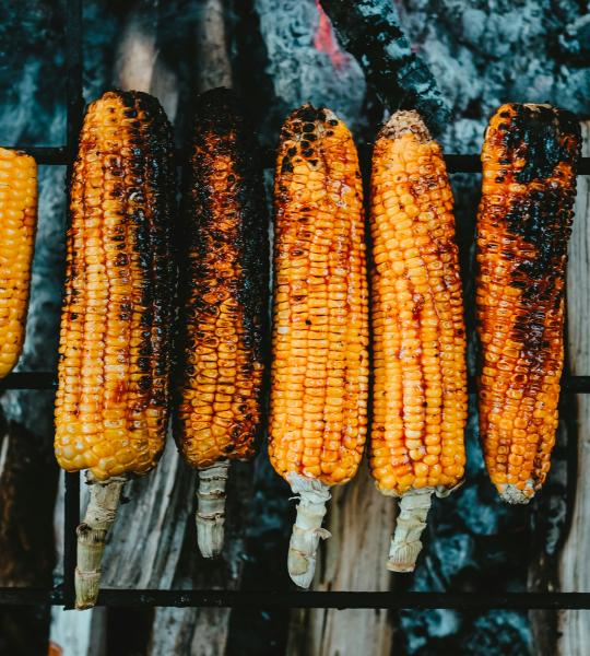 Corn-Roast-Event