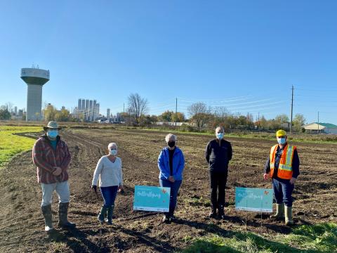 Lactalis Canada Winchester plants one-acre plot of wildflower seeds.