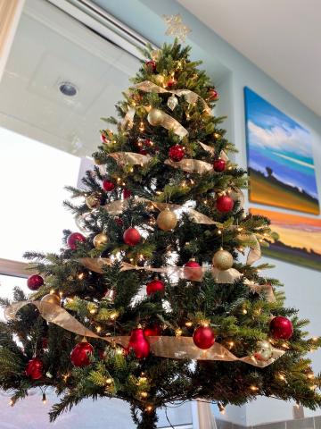 The Christmas tree at the Township office