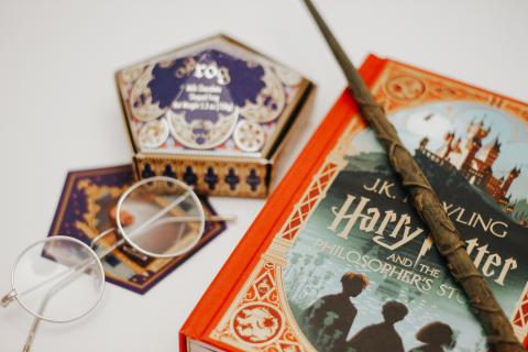 Harry Potter wand and book