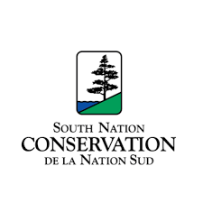 South Nation Tree Logo Small