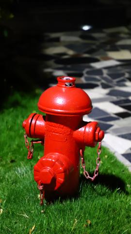 red fire hydrant on green grass lawn