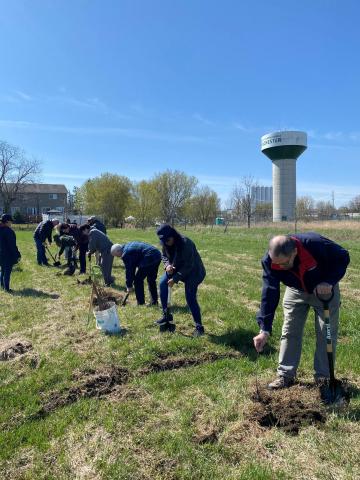 line of people planting tree seedlings