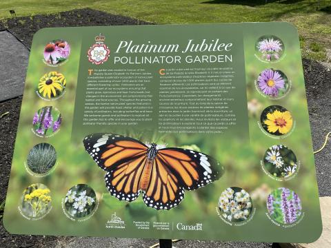 Pollinator Garden Information Sign