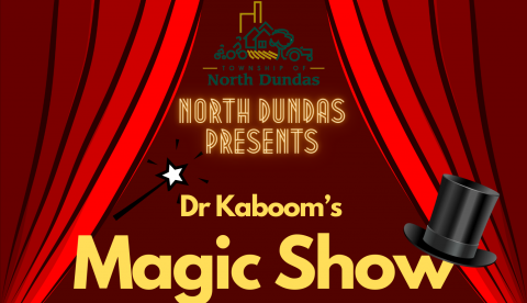 Magic Show Poster 