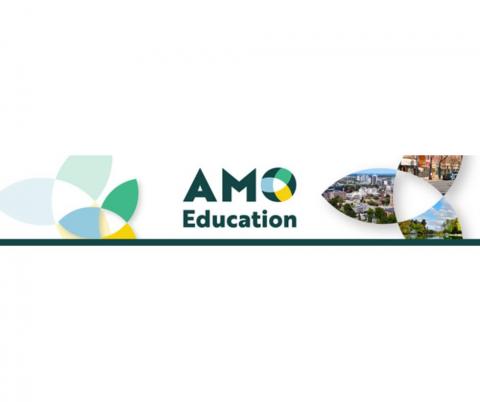 amo education