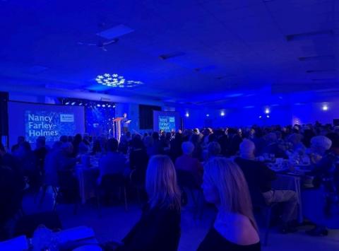 wdmh saphire and snowflakes pic