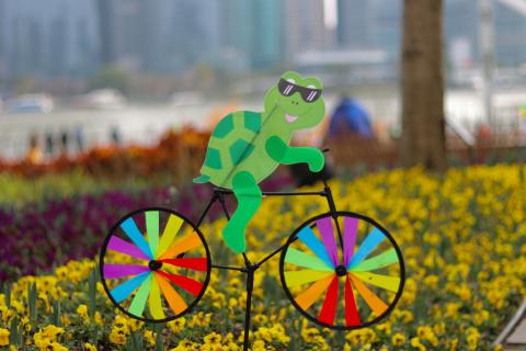 green cycle turtle